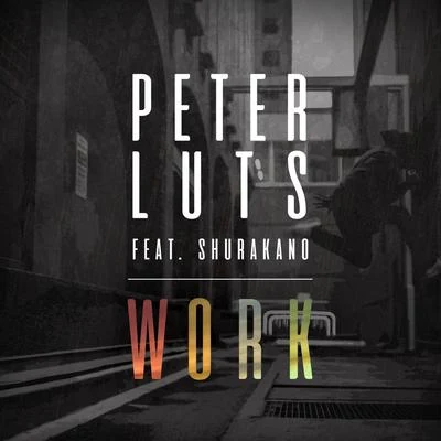 Peter LutsDominicoWork