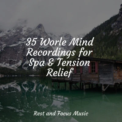 Instrumental/Neuman Pinto/Raman Mahadevan/Mohan/Amit Trivedi/Tochi Raina/Amitabh Bhattacharya/Joi Barua/Nikhil DSouza35 Worle Mind Recordings for Spa & Tension Relief