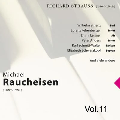 Michael RaucheisenHeinrich GeuserRita StreichMichael Raucheisen Vol. 11