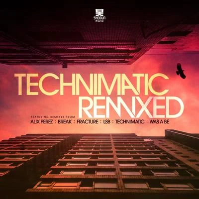 Technimatic/Zara KershawTechnimatic Remixed