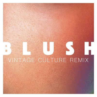 ElekfantzBlush (Vintage Culture Remix)