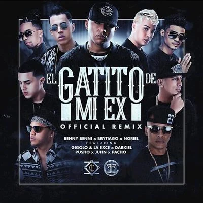 Benny Benni/Ronnie BiggsEl Gatito de Mi Ex (Remix)