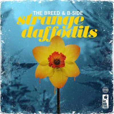 B-SideStrange Daffodils