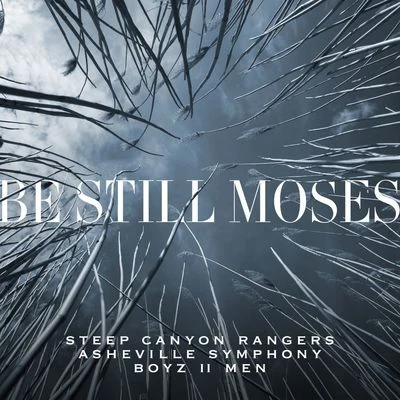 Asheville Symphony/Secret Agent 23 SkidooBe Still Moses