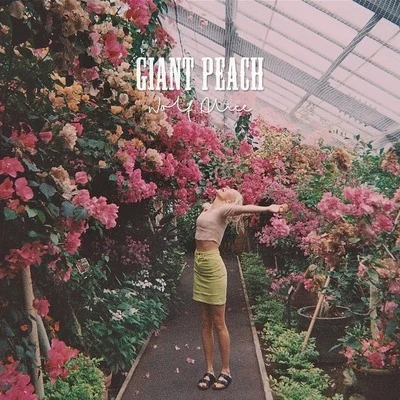 Wolf AliceGiant Peach