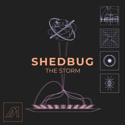 ShedbugThe Storm