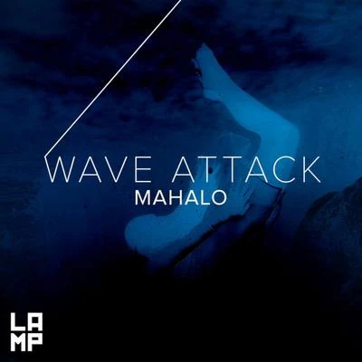 MahaloDLMTWave Attack