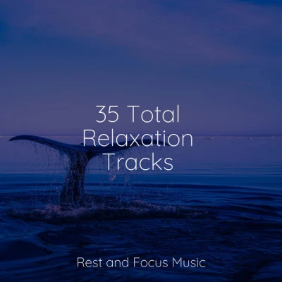 Calming Sounds/Ocean Sounds/Brain Study Music Guys35 Total Relaxation Tracks