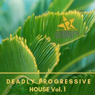 The Crew (乐酷)/Alfie Rhodes/Chris Armstrong/Buben/Quintino & Blasterjaxx/Nando Rodriguez/Kiwi XLDeadly Progressive House Vol. 1