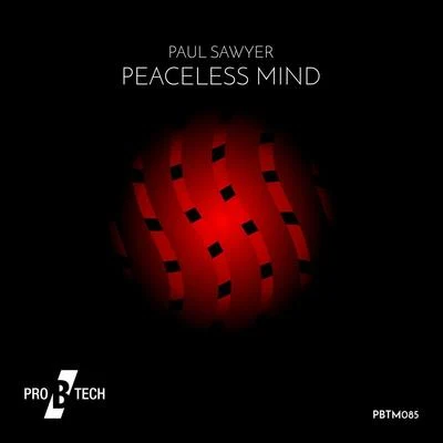 Paul SawyerPeaceless Mind