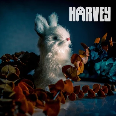 Harvey/OscuroAnimals