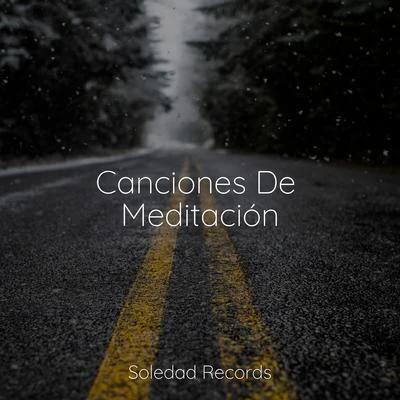 Musica relajante con sonidos de la naturaleza/Musica Relajante Specialistas/Naturaleza RelajacionCanciones De Meditación