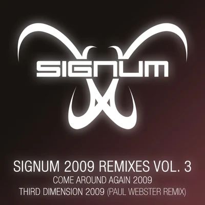 SignumSignum 2009 Remixes, Vol. 3