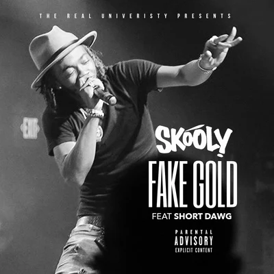 Skooly2 ChainzCap 1Fake Gold (feat. Short Dawg) - Single