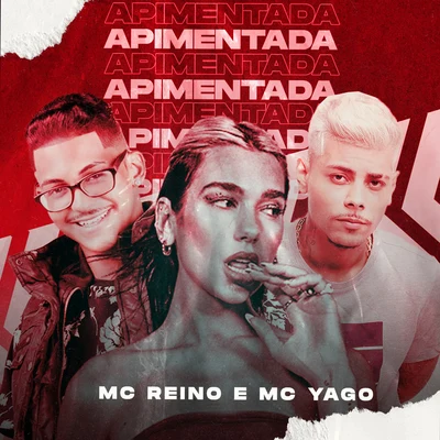 MC Reino/Mc DrickaApimentada (Brega Funk)