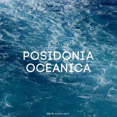 Eddi Shkiper/DP-6/UndersetPosidonia Oceanica