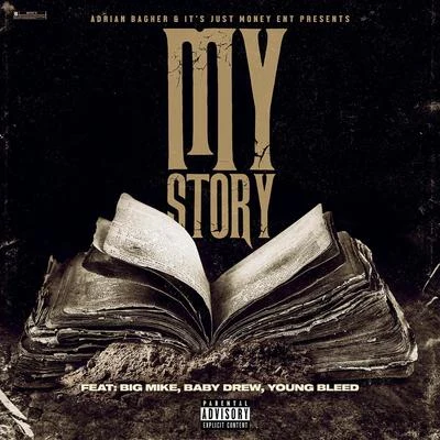 Baby DrewMy Story (feat. Young Bleed, Baby Drew & Big Mike)