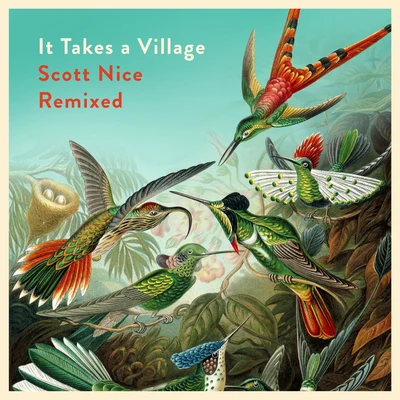 Scott NiceIt Takes a Village:Scott Nice Remixed