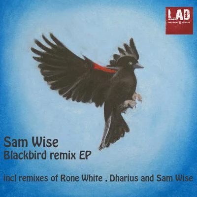 Sam WiseBlackbird Remixes