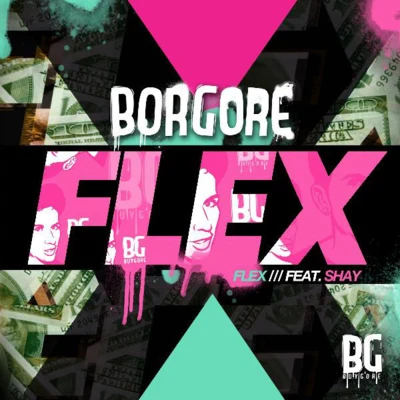 BorgoreFlex