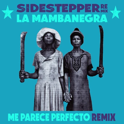 SidestepperMe parece perfecto (Sidestepper Remix)