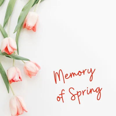 Tropical Ocean Waves Oasis/Meditation/Ocean SoundsMemory of Spring - 1 Hour of Wonderful Natural Melodies That Will Relax You and Let You Forget About Problems