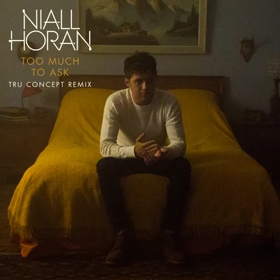 Niall HoranToo Much To Ask (TRU Concept Remix)