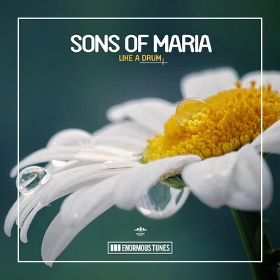 Sons Of MariaLike a Drum