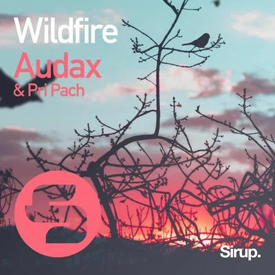 Audax/EnkodeWildfire