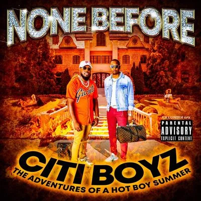 None BeforeCiti Boyz: The Adventures of a Hot Boy Summer