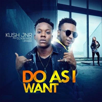 Dj KaywiseDo as I Want (feat. DJ Kaywise & Opa6ix)