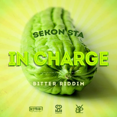 DJ Private Ryan/Sekon StaIn Charge