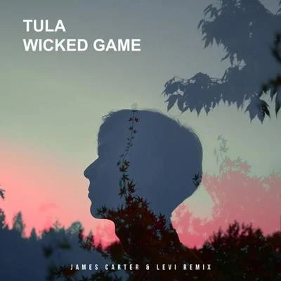 James Carter/Juke RossWicked Game(James Carter & Levi Remix )