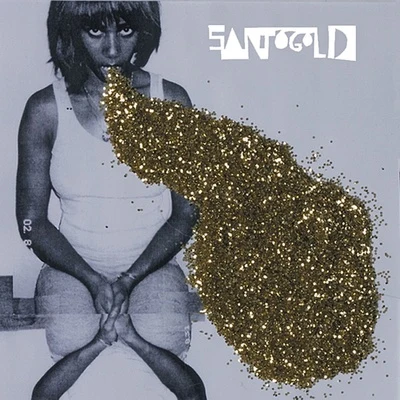 SantigoldSantogold