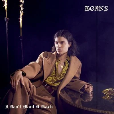 BØRNS/Glass AnimalsI Dont Want U Back