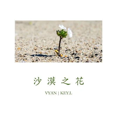 Vyan沙漠之花 (feat.Key.L)