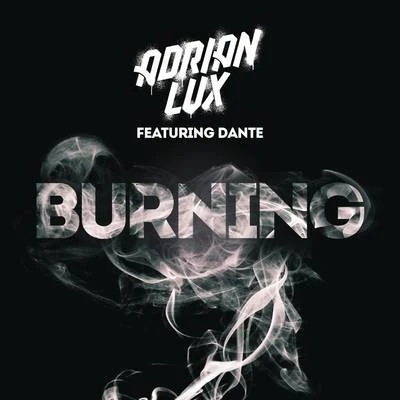 Adrian LuxBurning