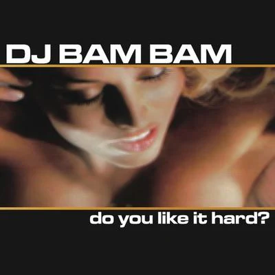 DJ Bam BamDo You Like It Hard? (Continuous DJ Mix by DJ Bam Bam)