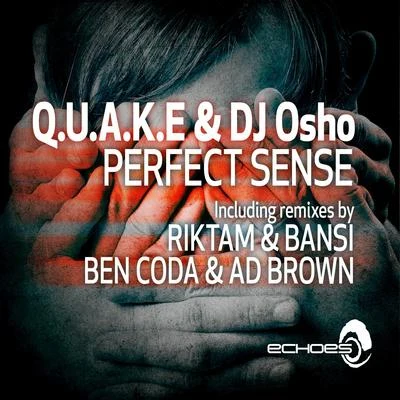 Q.U.A.K.EPerfect Sense