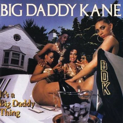 Roxanne Shante/Big Daddy Kane/44MAG/Ice T/Quintino & Blasterjaxx/Salt-N-Pepa/Rick James/Eric B. & Rakim/Kool G. Rap/Afrika IslamIts A Big Daddy Thing