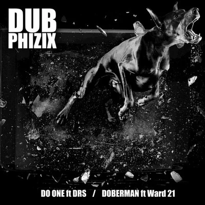 Dub PhizixDRSDo One (feat. DRS)