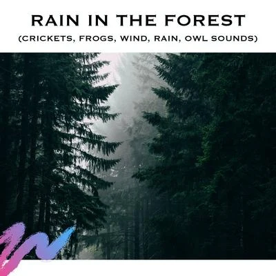 Loopable Radiance/Deep Sleep Systems/Baby Songs AcademyRain in the Forest (Crickets, Frogs, Wind, Rain, Owl Sounds)