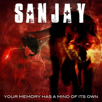 SanjayYour Memory Has a Mind of Its Own