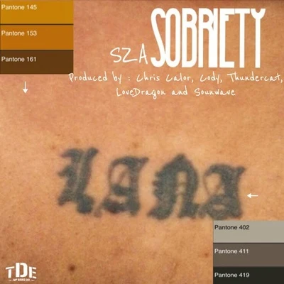 Towkio/SZASobriety