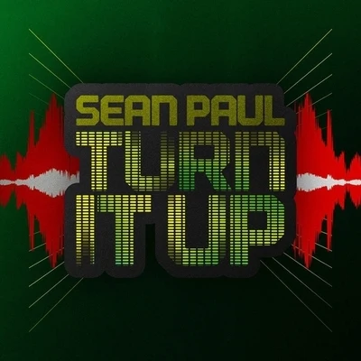 Sean PaulTurn It Up