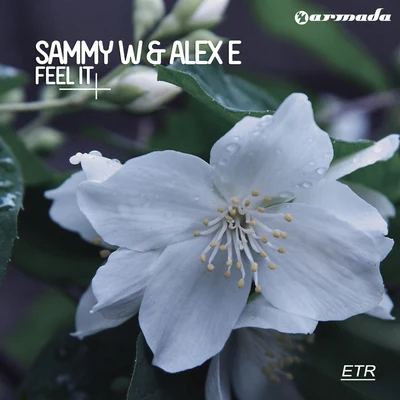 Sammy W/Alex E/Felpe/Gunballbr/Discase/White Fighters/Ilhan Gumus/GABWOLL/Low Voltage/SAM JFeel It