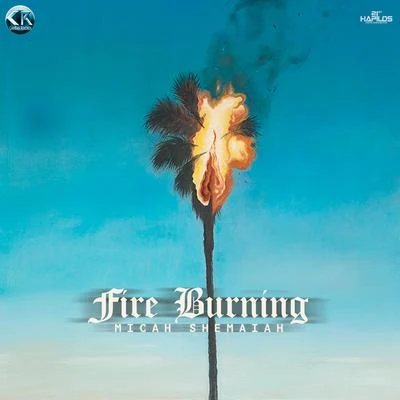 Micah Shemaiah/J.Robinson WhoDemSound/Jah MirikleFire Burning