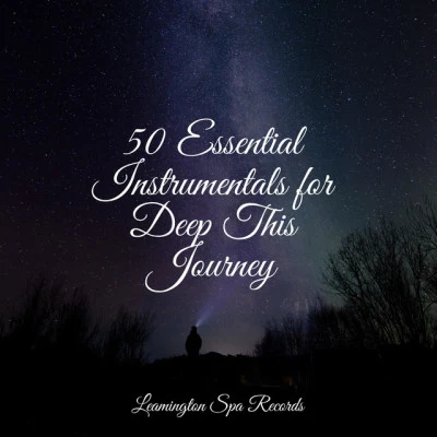 Sampling XL50 Essential Instrumentals for Deep This Journey