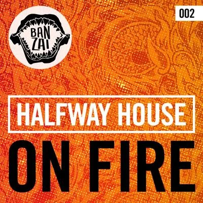 Halfway HouseOn Fire