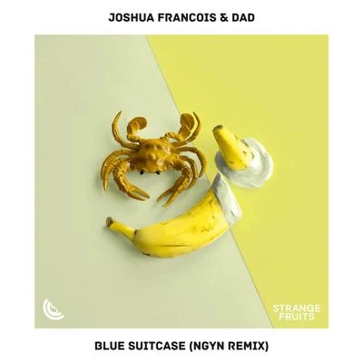 Joshua Francois/CATALI/Mauro Valdemi/CCIITTYY/Ameria/DAD/CHAMPANE/Parula/Callum McBride/YungSnapLordeBlue Suitcase (Ngyn Remix)